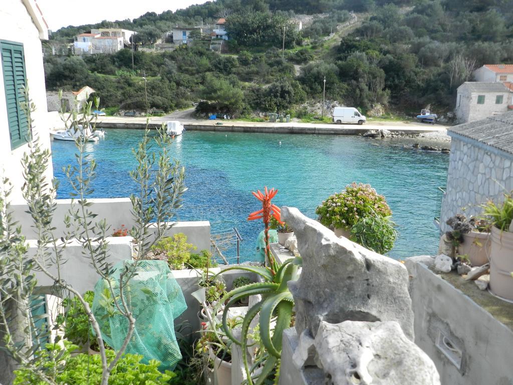 Vila Vita Donje Selo na Solti ภายนอก รูปภาพ