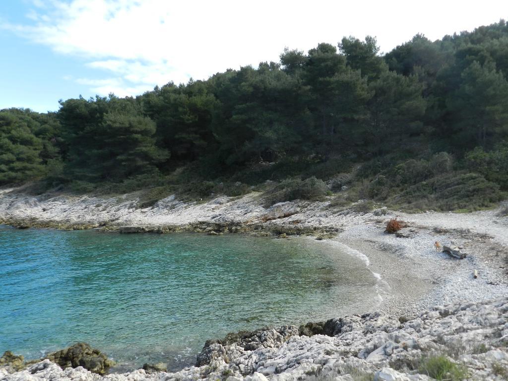 Vila Vita Donje Selo na Solti ภายนอก รูปภาพ